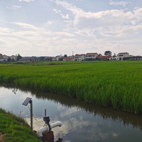 Trang trại Hunan- gạo