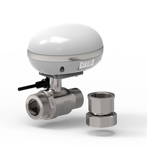 Hẹn giờ nước thông minh 1 inch để tưới