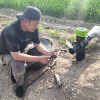 Trang trại Gansu- Wheat